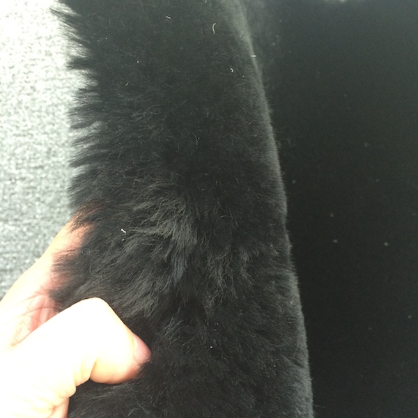 Auto Polish Disc - alternate view