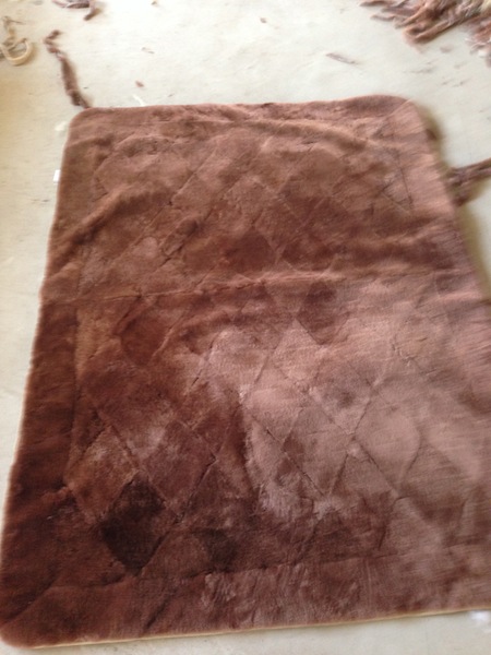 Bassinet Cover - real photo