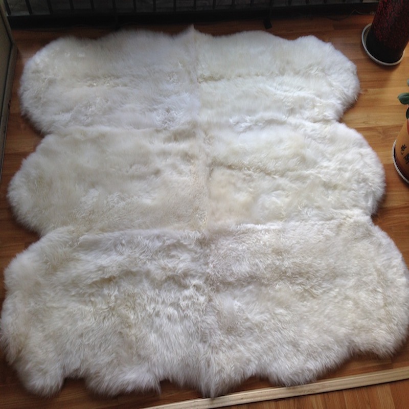 Cat Rug - real photo