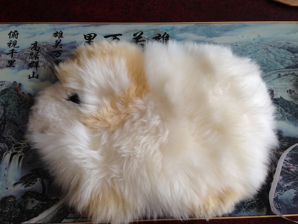 Childs Cushion - alternate view