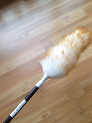 Cleaning Duster - alternate view 4
