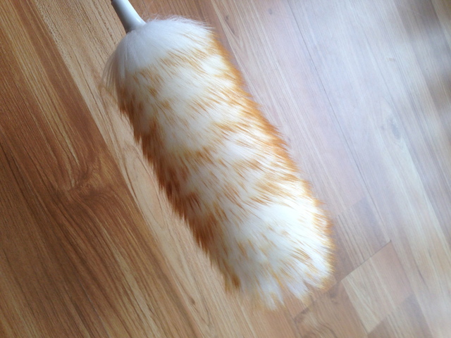 Cleaning Duster - alternate view 5