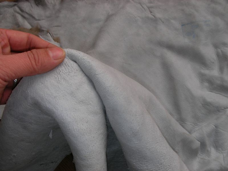 Coat Lining - alternate view 5