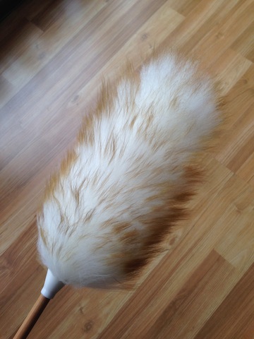 Feather Duster - alternate view 2