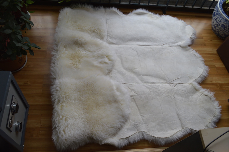 Hospital Rug - alternate view 2