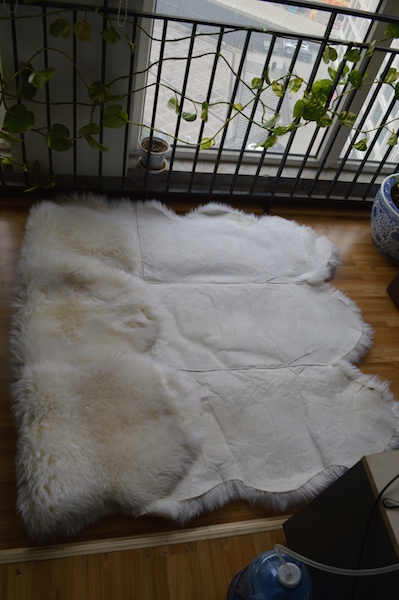 Hospital Rug - alternate view 3