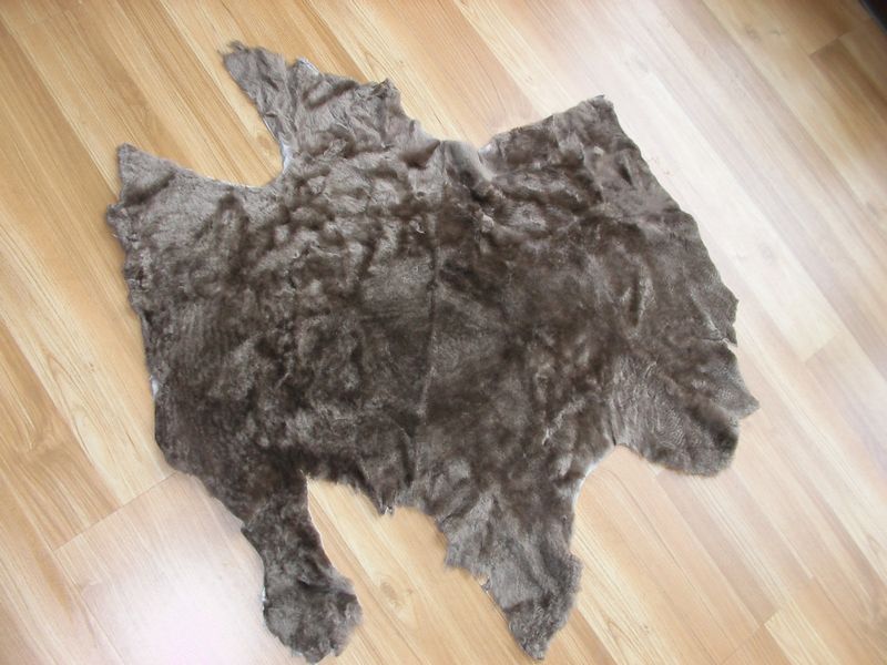 Jacket Lining - alternate view