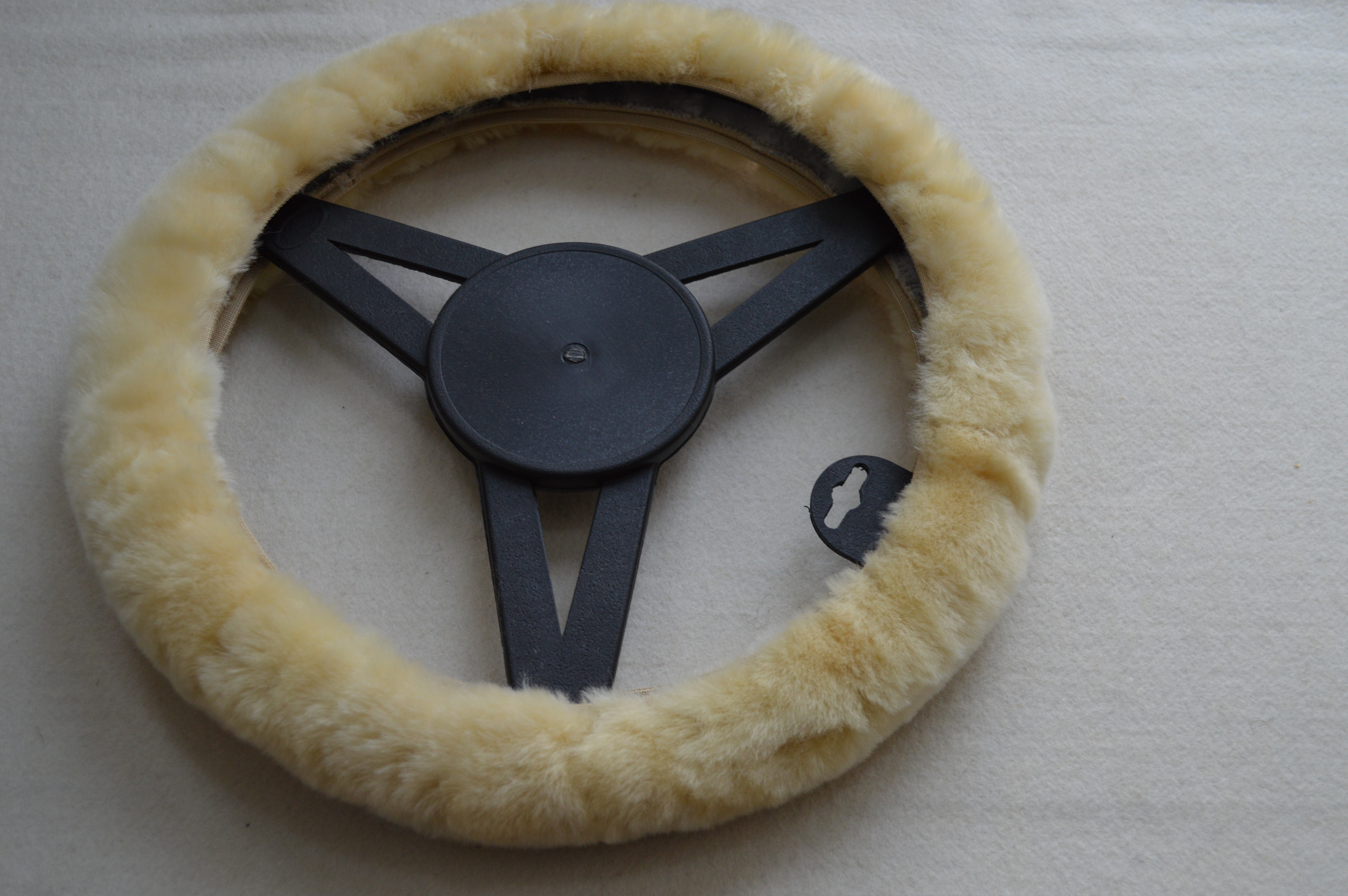 Limousine Wheel Cover - alternate view