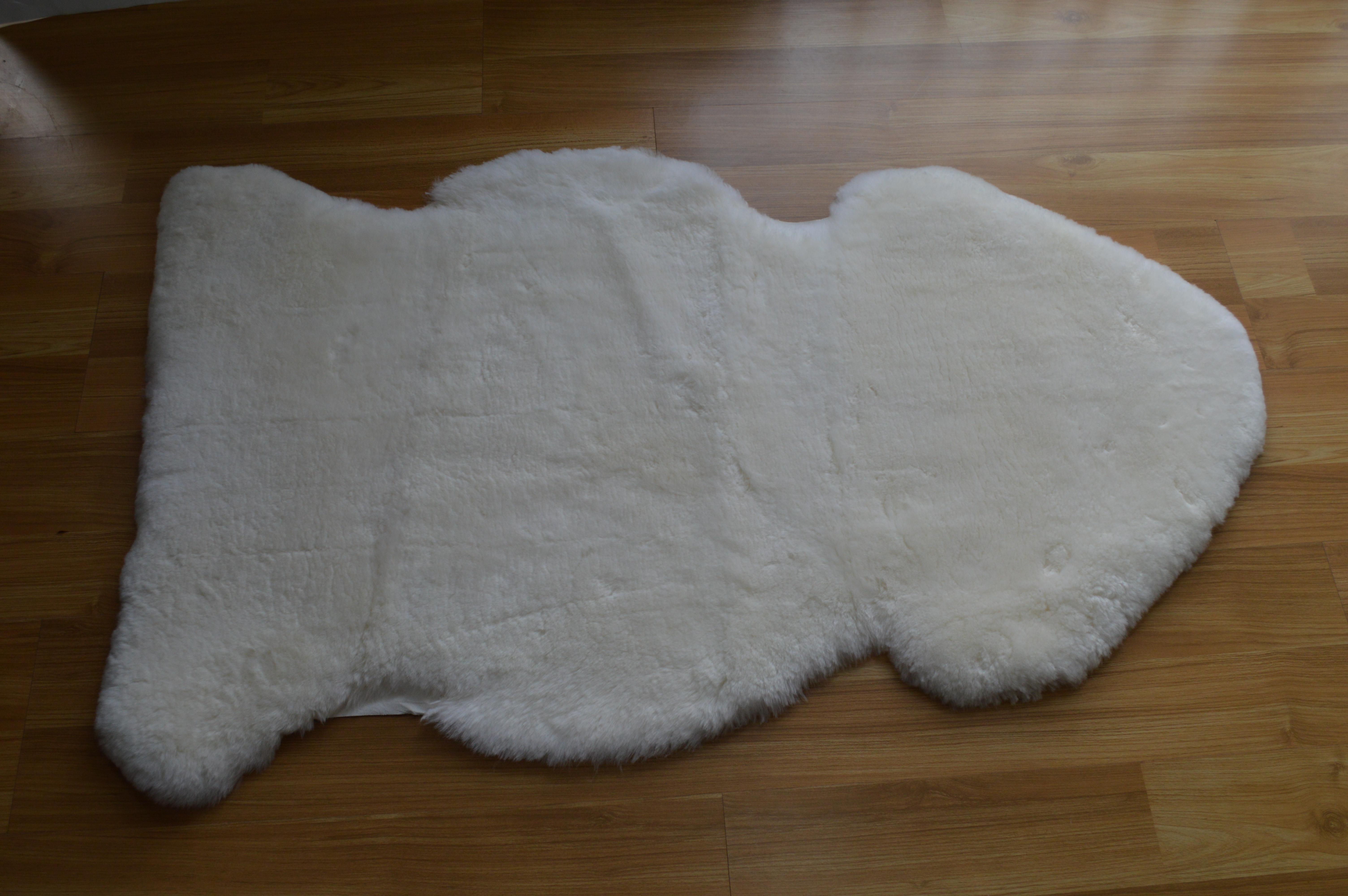 Medical Grade Rug - real photo