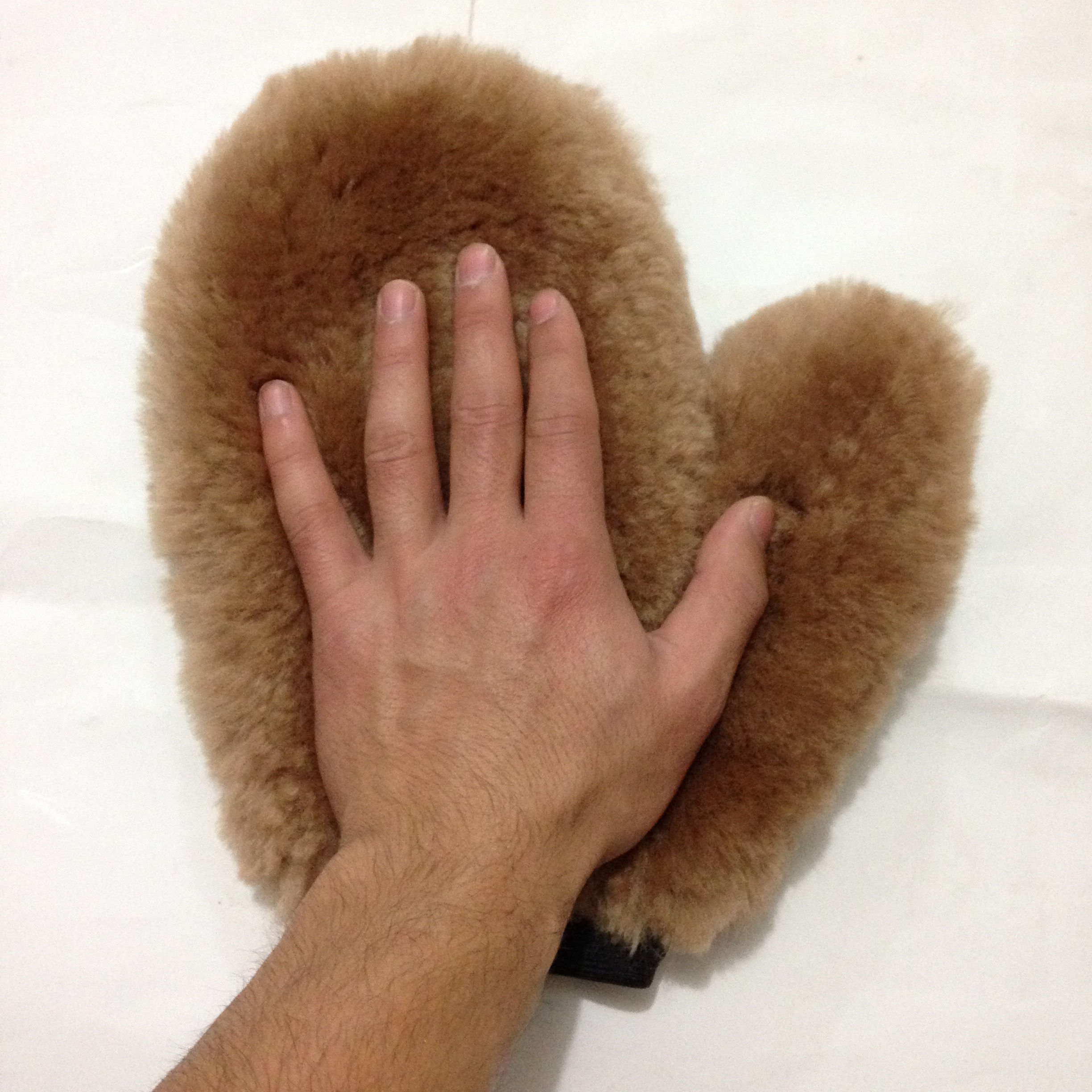 Pet Rug - real photo