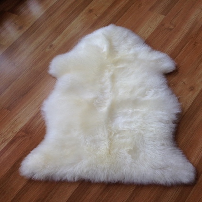 Shaggy Rug - real photo