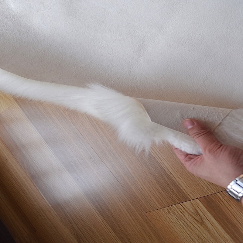Teddy Pillow - alternate view 4