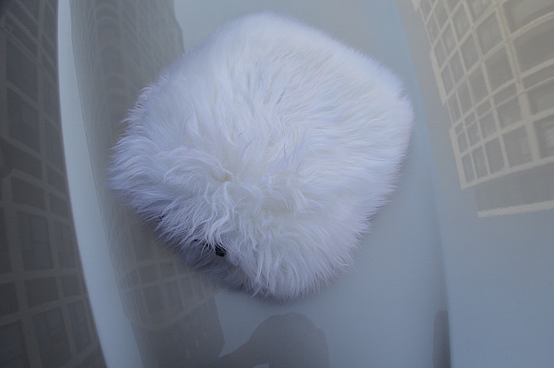 Wash Mitt - alternate view 4