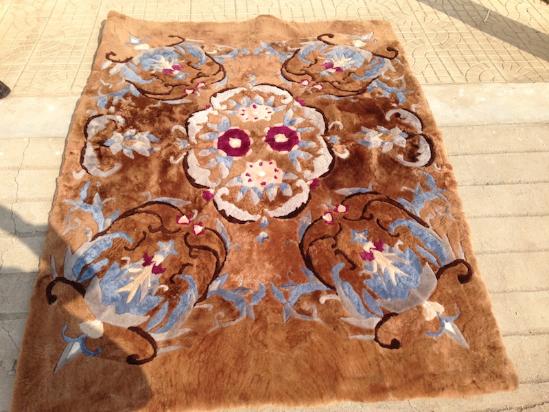 Western Rug - alternate view 5