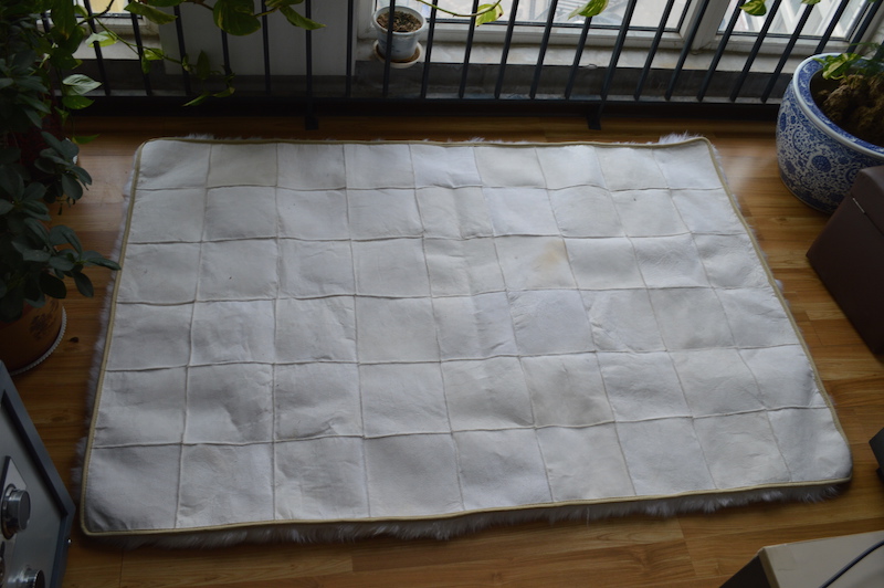 Windshield Cover - alternate view 4